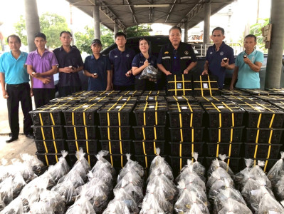 กระจายผลไม้ “มังคุด” พารามิเตอร์รูปภาพ 1